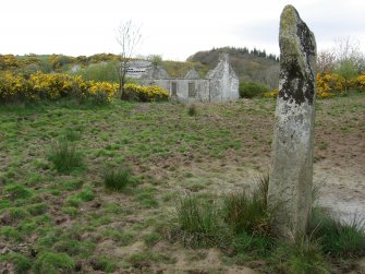 View of standing stone, taken from S.