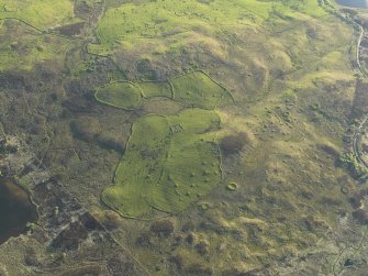 General oblique aerial view of the buildings, dykes, rig and hut-circles at Dola, taken from the ENE.