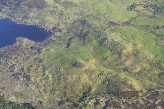 Oblique aerial view of the buildings, dykes, rig and hut-circles at Dola, taken from the NNE.