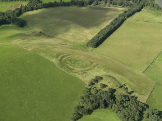 Oblique aerial view of Henderland Hill fort, taken from the SE.