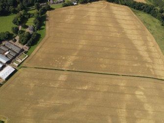 Oblique aerial view of the cropmarks of the pits, barrow, enclosure and field drain, with the barrow and track beyond, taken from the E.
