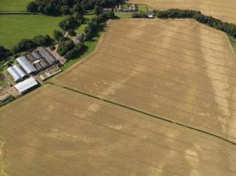 Oblique aerial view of the cropmarks of the pits, barrow, enclosure and field drain, with the barrow and track beyond, taken from the ENE.