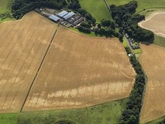 Oblique aerial view of the cropmarks of the pits, barrows, enclosure, track and field drain, taken from the NNW.