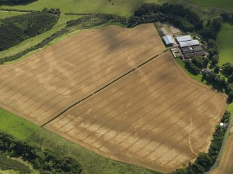 Oblique aerial view of the cropmarks of the pits, barrows, enclosure, track and field drain, taken from the WNW.