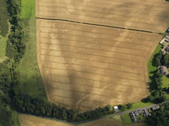Oblique aerial view of the cropmarks of the pits, barrows, enclosure, track and field drain, taken from the W.