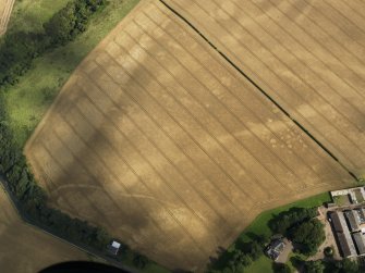 Oblique aerial view of the cropmarks of the pits, barrows, enclosure, track and field drain, taken from the SW.