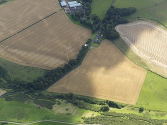 Oblique aerial view of the cropmarks of the field boundaries and pits, with the barrows, enclosure, track and field drain adjacent, taken from the NW.