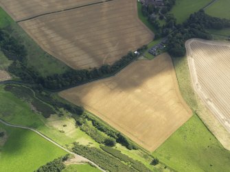 Oblique aerial view of the cropmarks of the field boundaries and pits, with the barrows, enclosure, track and field drain adjacent, taken from the WNW.