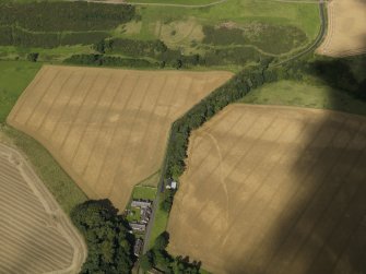 Oblique aerial view of the cropmarks of the field boundaries and pits, with the barrows, enclosure, track and field drain adjacent, taken from the SSE.