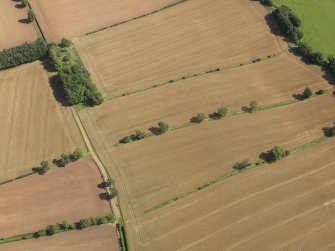 Oblique aerial view of the cropmarks of the Roman Temporary Camp at Newstead and the settlement, taken from the W.