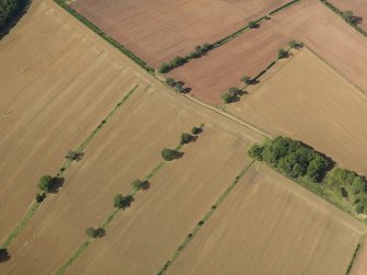 Oblique aerial view of the cropmarks of the Roman Temporary Camp at Newstead and the settlement, taken from the SE.