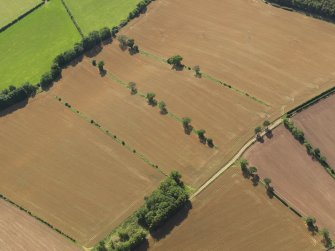 Oblique aerial view of the cropmarks of the Roman Temporary Camp at Newstead and the settlement, taken from the NE.