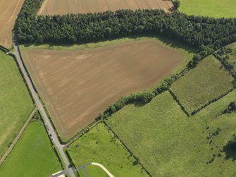 Oblique aerial view of the cropmarks of the field boundary, taken from the NW.