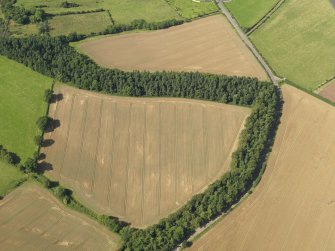 Oblique aerial view of the cropmarks of the Roman Temporary Camp, taken from the SE.