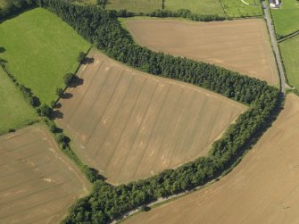 Oblique aerial view of the cropmarks of the Roman Temporary Camp, taken from the ESE.