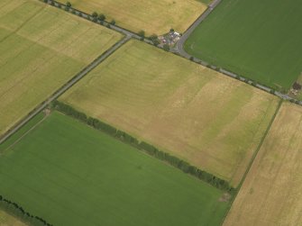 Oblique aerial view of the cropmarks of the rig, taken from the S.