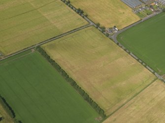 Oblique aerial view of the cropmarks of the rig, taken from the SSE.