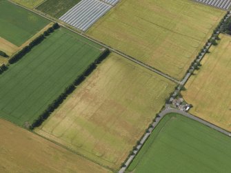 Oblique aerial view of the cropmarks of the rig, taken from the ESE.