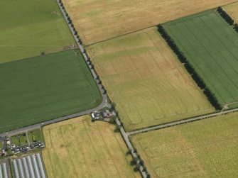 Oblique aerial view of the cropmarks of the rig, taken from the NW.