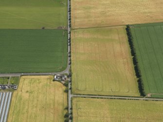 Oblique aerial view of the cropmarks of the rig, taken from the WNW.