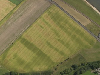 Oblique aerial view of the cropmarks of the barrow and possible field boundary, taken from the NW.