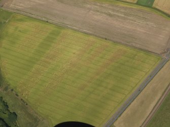 Oblique aerial view of the cropmarks of the barrow and possible field boundary, taken from the SW.