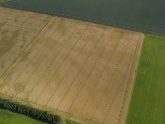 Oblique aerial view of the cropmarks of the rig and furrow and the unenclosed settlement, taken from the SSW.