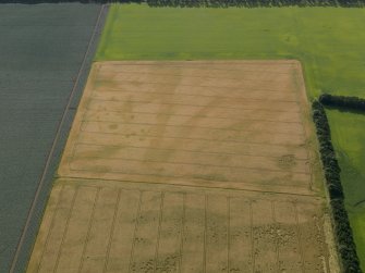 Oblique aerial view of the cropmarks of the rig and furrow and the unenclosed settlement, taken from the NW.