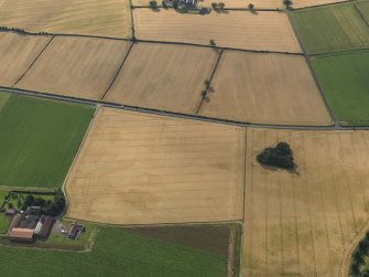 Oblique aerial view of the cropmarks of the rig and furrow, taken from the NW.