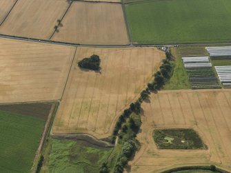 Oblique aerial view of the cropmarks of the rig and furrow, taken from the NNW.