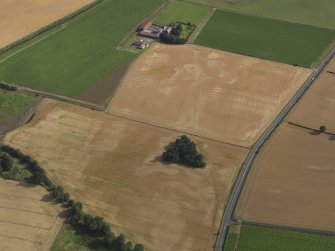 Oblique aerial view of the cropmarks of the rig and furrow, taken from the SW.