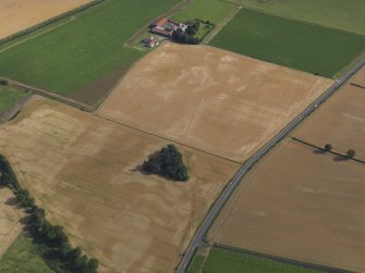 Oblique aerial view of the cropmarks of the rig and furrow, taken from the SSW.