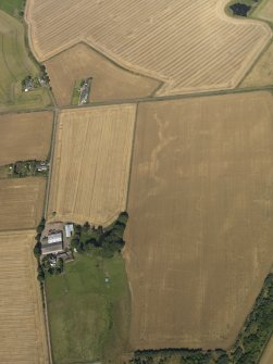 General oblique aerial view of the cropmarks of the enclosures, taken from the SE.