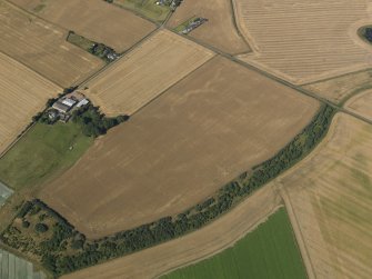 General oblique aerial view of the cropmarks of the enclosures, taken from the NE.
