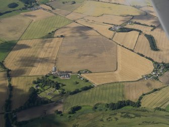 General oblique aerial view of the cropmarks of the enclosure at Old Montrose, taken from the ENE.