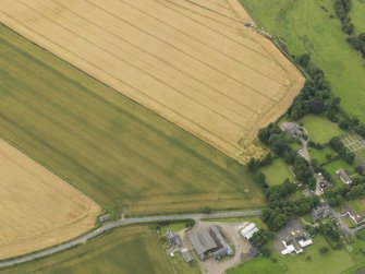 Oblique aerial view of the cropmarks of the square barrow cemetery, taken from the NNE.