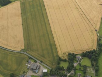 Oblique aerial view of the cropmarks of the square barrow cemetery, taken from the NW.