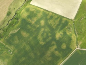 Oblique aerial view of the cropmarks of the round house, taken from the W.