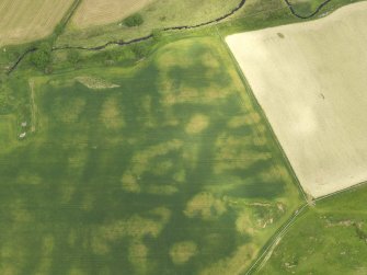 Oblique aerial view of the cropmarks of the round house, taken from the SW.