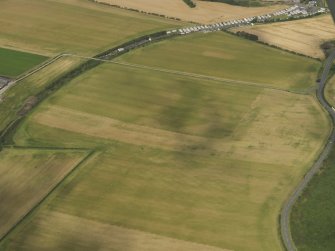 Oblique aerial view of the cropmarks of the settlement, taken from the SSE.