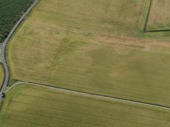 Oblique aerial view of the cropmarks of the settlement, taken from the NNW.