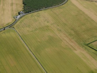 Oblique aerial view of the cropmarks of the settlement, taken from the WE.