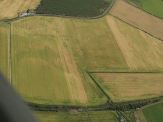 Oblique aerial view of the cropmarks of the settlement, taken from the WSW.