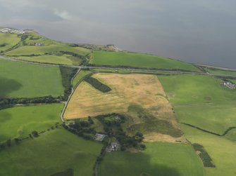 General oblique aerial view of the cropmarks of the enclosures, taken from the ENE.