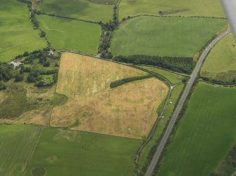 General oblique aerial view of the cropmarks of the enclosures, taken from the NW.