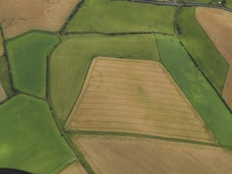 Oblique aerial view of the cropmarks of the settlement, taken from the WNW.