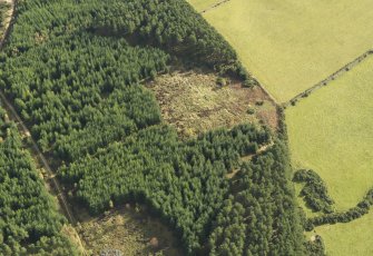 Oblique aerial view of the remains of Clune Wood Recumbent Stone Circle, taken from the WNW.