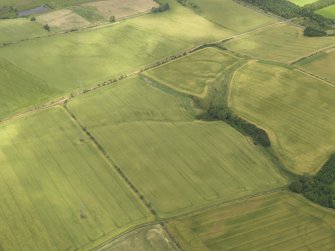 Oblique aerial view of the cropmarks of the field boundary, taken from the SSW.