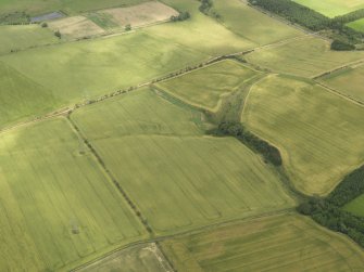 Oblique aerial view of the cropmarks of the field boundary, taken from the SSW.