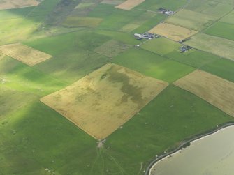 Oblique aerial view of the cropmarks of the possible enclosure, taken from the SE.